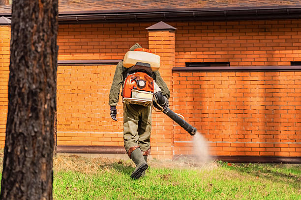 Bed Bug Clearance Verification and Documentation in Mount Sterling